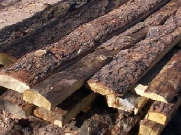 Rustic log siding with bark made by greenleaf forestry